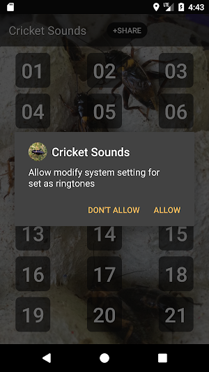 Cricket Sounds Screenshot 2