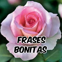 Frases bonitas para compartir
