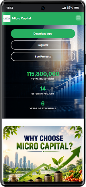 Micro Capital Screenshot 1