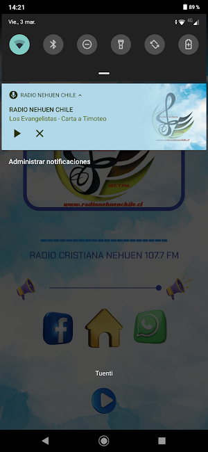 RADIO NEHUEN CHILE Screenshot 3