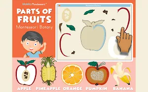 Montessori Botany - Parts of Fruits Screenshot 0