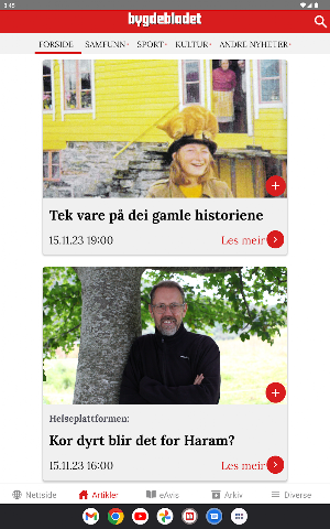 Bygdebladet.com Screenshot 3