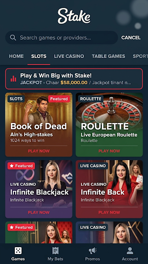 Stake Casino Screenshot 0