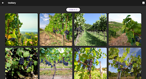 ARCA (Agro Robot Control App) Screenshot 1