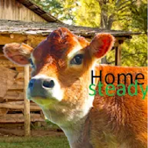 Homesteading of the Grid Life Screenshot 1