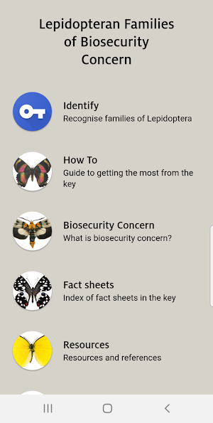 Lepidopteran Families Screenshot 1