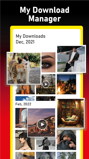 All Video Downloader Save Fast Screenshot 3