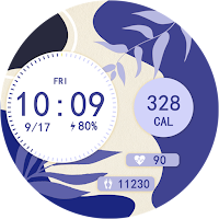 TicWatch Midsummer