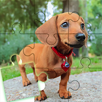 Video Puzzle: Picture art