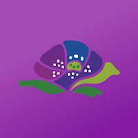 Revivify Medical Spa