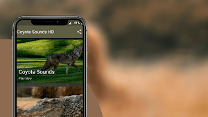 Coyote Sounds - Wild Coyote Calls Screenshot 1