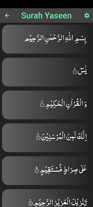 Surah Yaseen With  Translation Screenshot 1