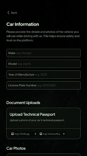 ZeyroDriver Screenshot 2
