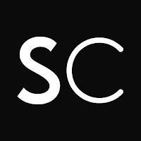 Salon Culture