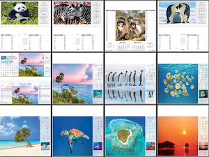 2020 World Public Holiday Calendar Screenshot 2