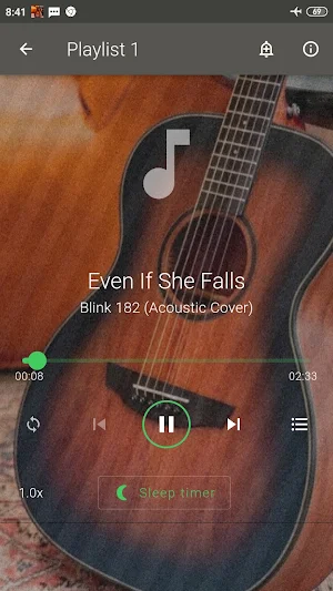 BLINK 182 Cover Screenshot 1
