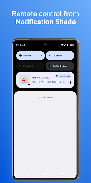 Radio Indonesia: Music, FM Screenshot 3