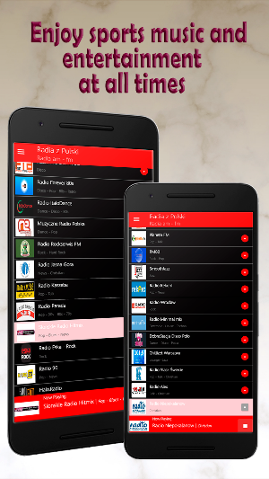 Polish music Screenshot 0
