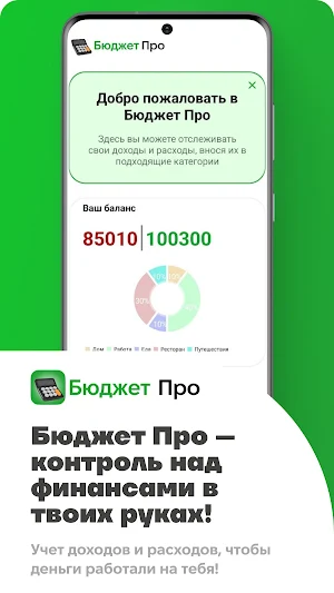 Бюджет Про Screenshot 0