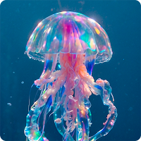 Jellyfish HD Wallpapers