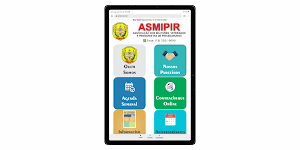 ASMIPIR Screenshot 2