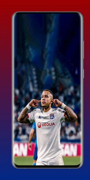 Olympique Lyonnais Wallpapers Screenshot 3