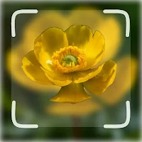 Plant Identification AI ID App