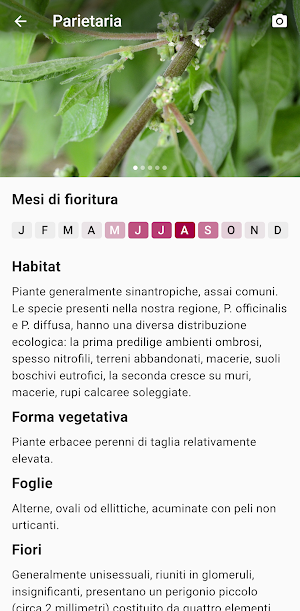 PolliniTrentino Screenshot 3