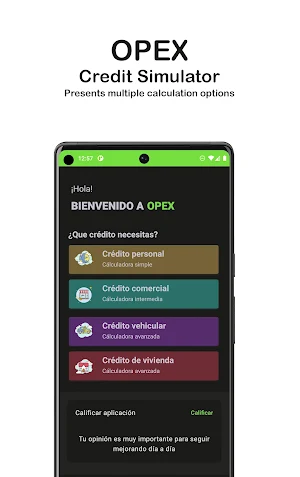 OPEX - Credit Simulator Screenshot 0