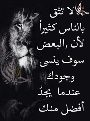 حكم واقوال وامثال بدون انترنت Screenshot 3