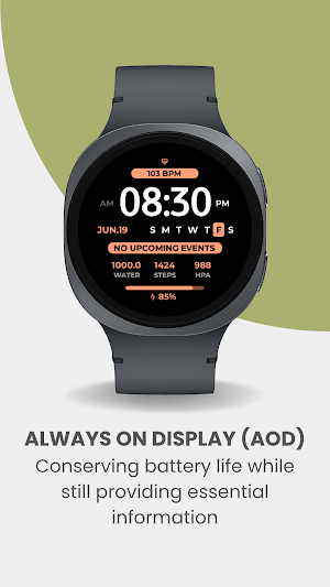EXD204: Personal Watch Face Screenshot 2