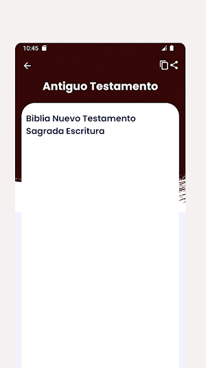 Diccionario Español Sinonimos Screenshot 2