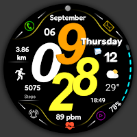 FSW270 Digital Watchface