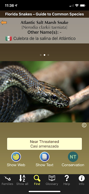 Florida Snakes Screenshot 3
