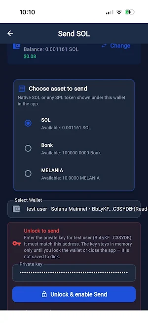 Cryptochain Payment Screenshot 2