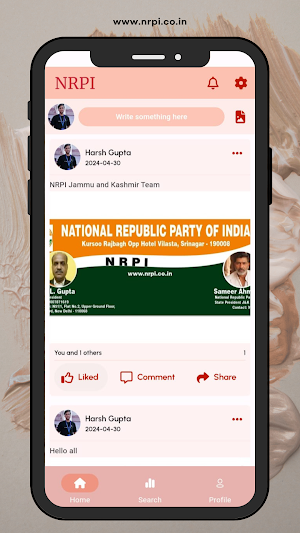 NRPI Screenshot 3