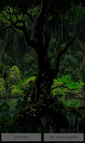 Rainy Forest Live Wallpaper Screenshot 0