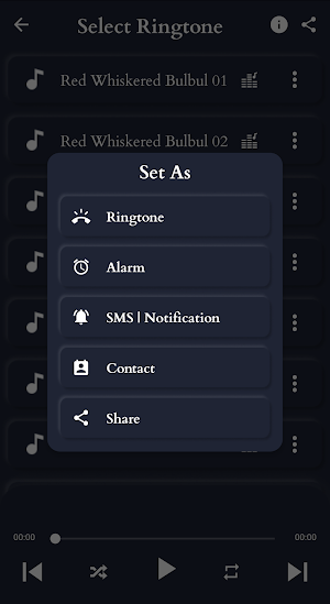 Red-whiskered Bulbul Sounds Screenshot 3