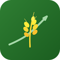 Grain Price - Live Futures