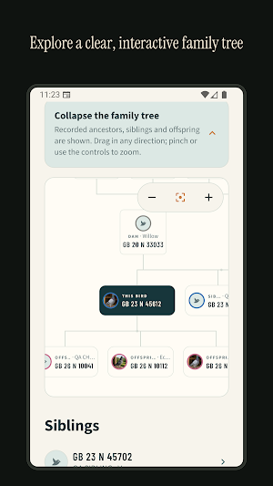 PigeonKeeper: Loft Manager Screenshot 2
