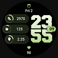 MDS459 Digital Watch Face