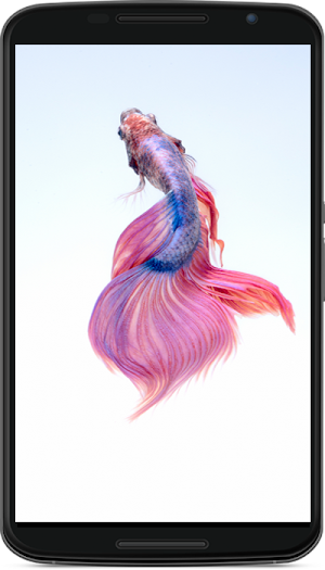 betta fish wallpaper Screenshot 0