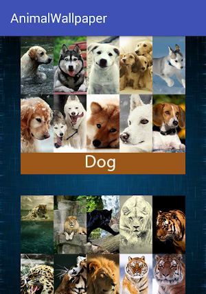 Animal Wallpaper Screenshot 0