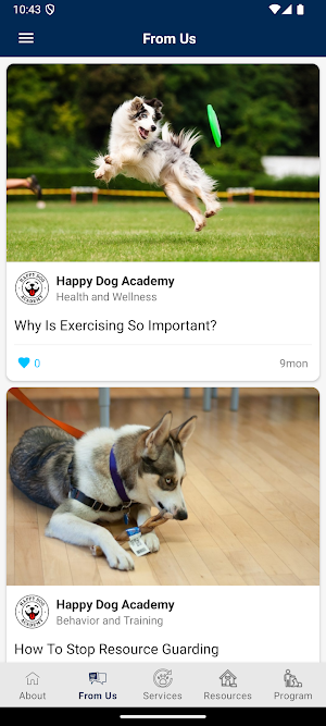 Happy Dog Academy Screenshot 2