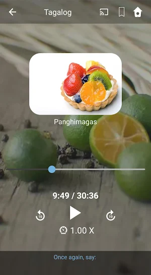 Learn Tagalog. Speak Tagalog. Study Tagalog. Screenshot 1