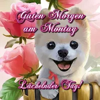 Guten Morgen am Montag