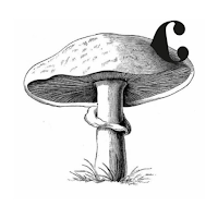Il Castagneto