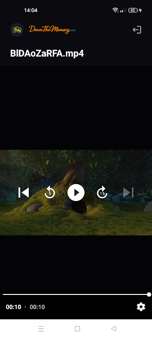 DownTheMemory - Cloud Storage Screenshot 3