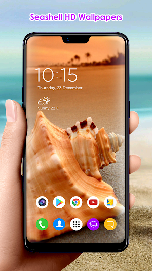 Seashell HD Wallpapers Screenshot 3
