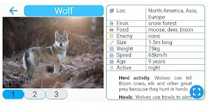 Fancy Animals Screenshot 2